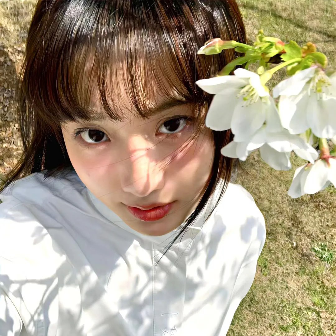 菩提树 在线观看封面