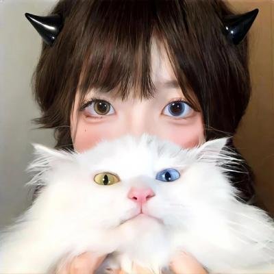 恐怖猴玩偶 在线观看封面