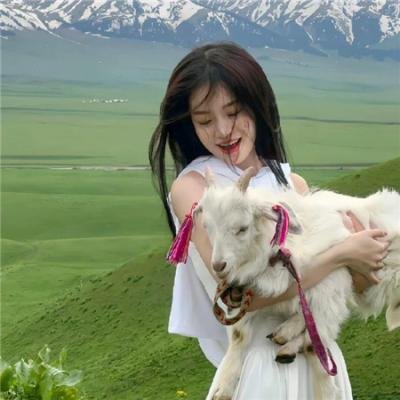 鬼修女 在线观看封面
