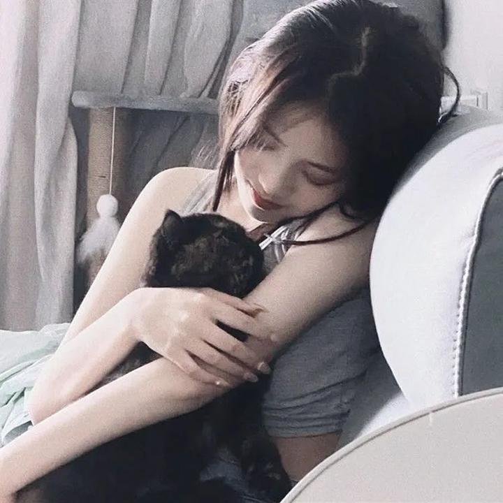 杨光的快乐生活之绅士品格 在线观看封面